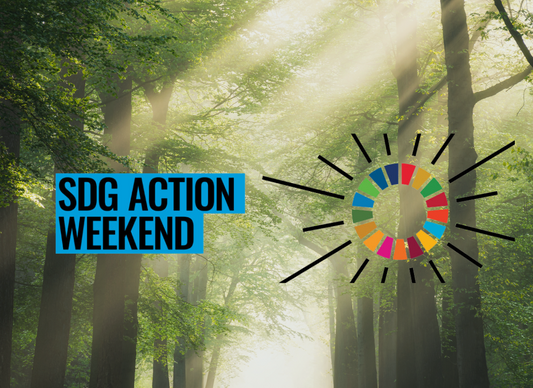 SDG Action Weekend: A Leap Towards Sustainable Future