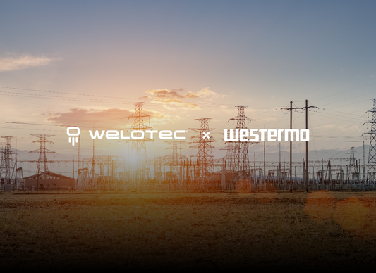 Whitepaper: The IEC 61850 Digital Substation - A framework for a resilient, intelligent and sustainable grid