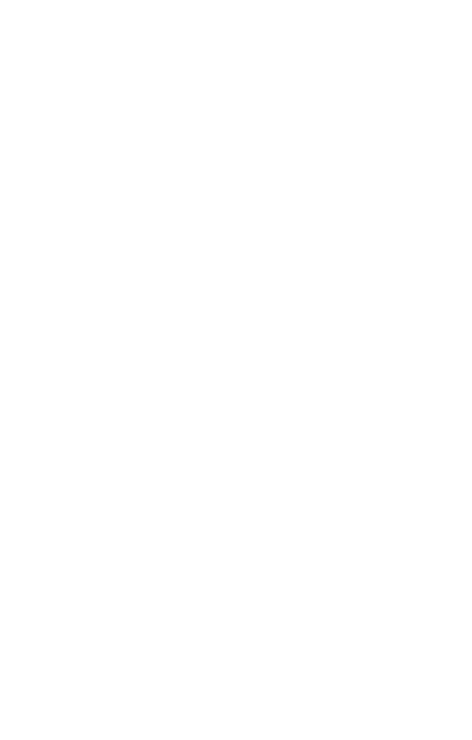 welotec logo white
